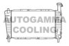 AUTOGAMMA 105162 Radiator, engine cooling